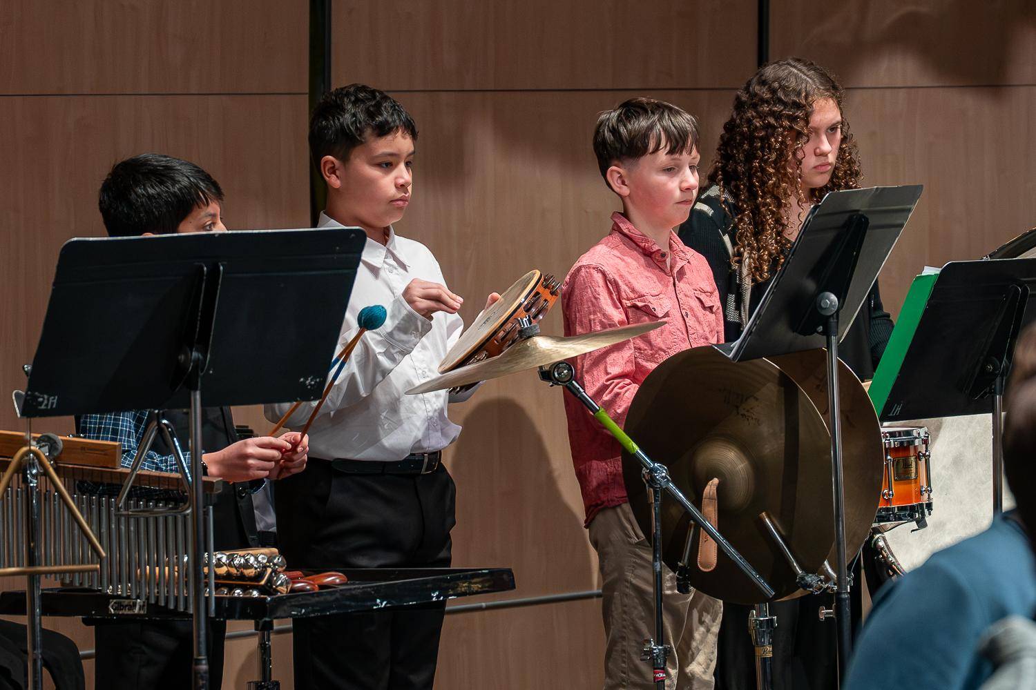 MACS_BAND_0014 (Copy)