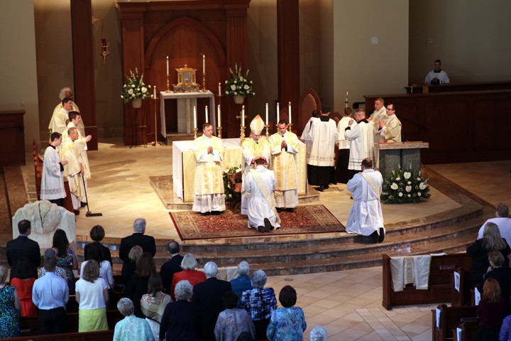 'You are priests of the Holy Year of Mercy'