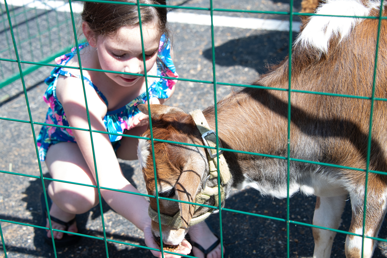 GREENSBORO — On the last day the kids enjoyed a water slide and a “Nativity” petting zoo! (Photos provided by MaryAnn Luedtke and Lindsay Kohl)