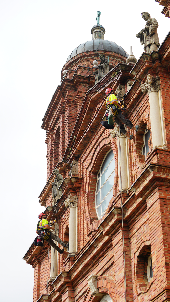 Technicians rappel down the front of St. Lawrence Basilica Oct. 10 to begin surveying the building’s exterior. 