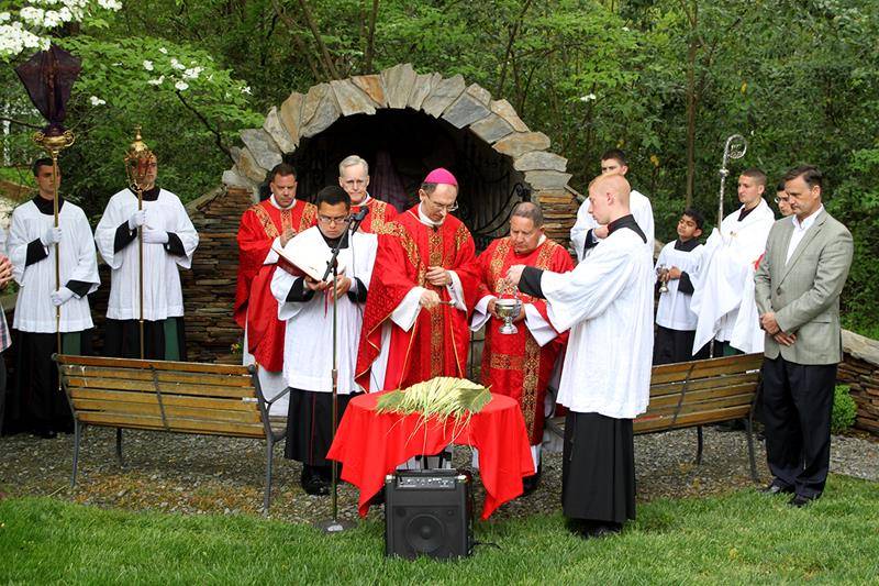 Bishop Peter Jugis blesses palms at the start of the Palm Sunday Mass April 14 at St. Patrick Cathedral in Charlotte.