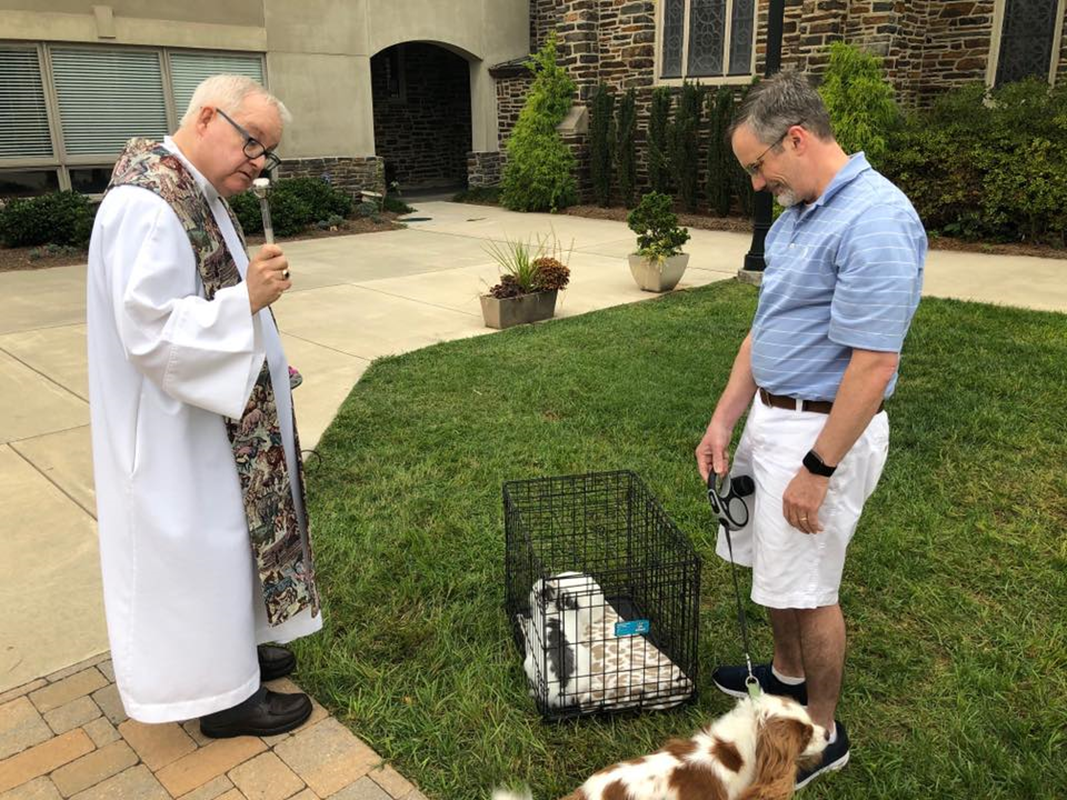 WINSTON-SALEM — Father Brian J. Cook blesses animals at St. Leo Church. (Photos via Facebook)