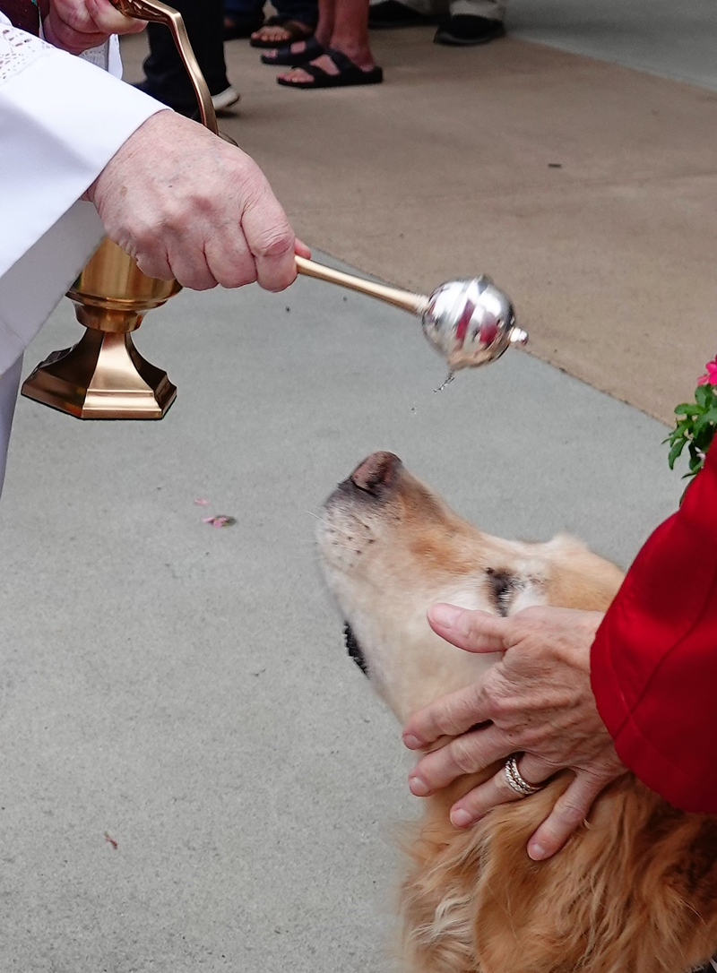 HUNTERSVILLE — Deacon Ron Sherwood blessed the animals after the 9 a.m. Mass at St. Mark Church on Saturday, Oct. 5. He went person by person, sprinkling each of their pets with holy water after asking for the animal’s name. Seminarian Patrick Martin assi