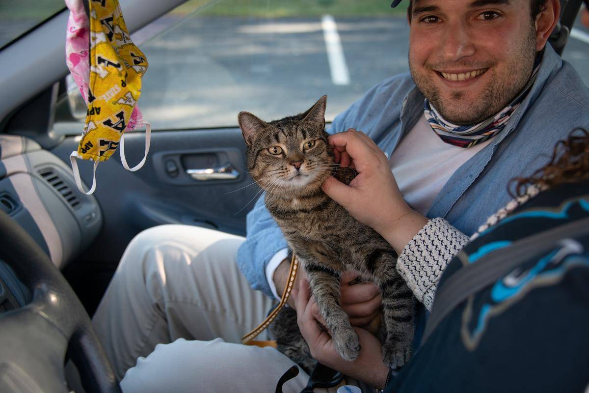 GREENSBORO — St. Pius X held a drive through pet blessing and food drive Oct. 3. (Photos provided by MaryAnn Luedtke)