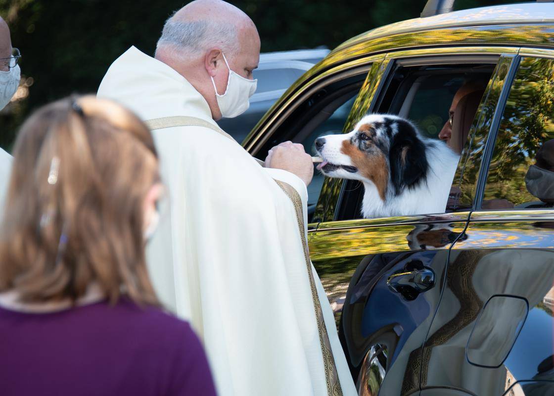 GREENSBORO — St. Pius X held a drive through pet blessing and food drive Oct. 3. (Photos provided by MaryAnn Luedtke)