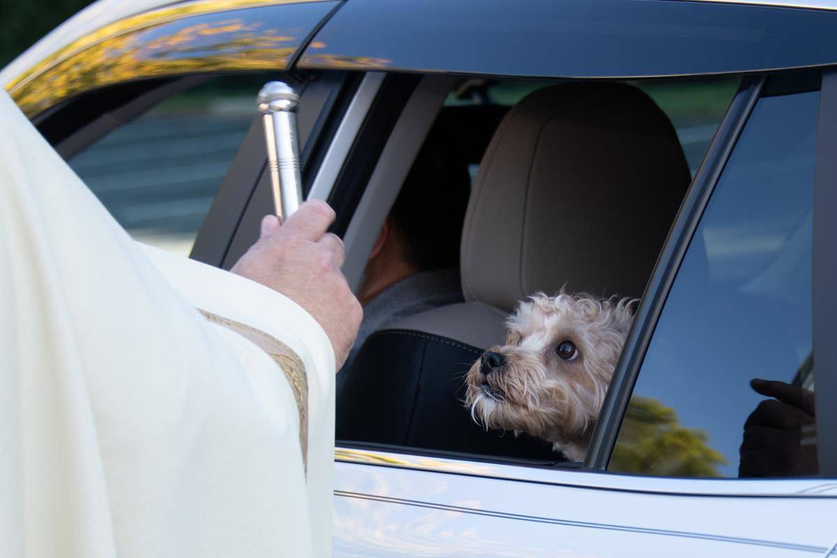 GREENSBORO — St. Pius X held a drive through pet blessing and food drive Oct. 3. (Photos provided by MaryAnn Luedtke)