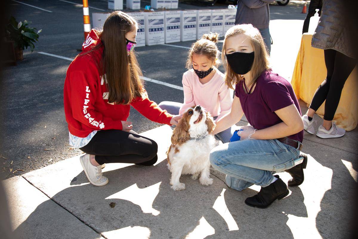 GREENSBORO — St. Pius X held a drive through pet blessing and food drive Oct. 3. (Photos provided by MaryAnn Luedtke)