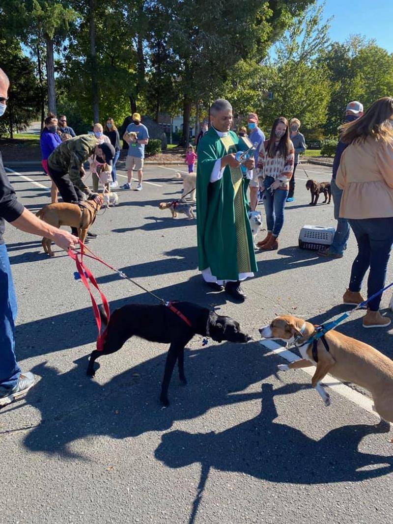 St Matthew Church pet blessing.