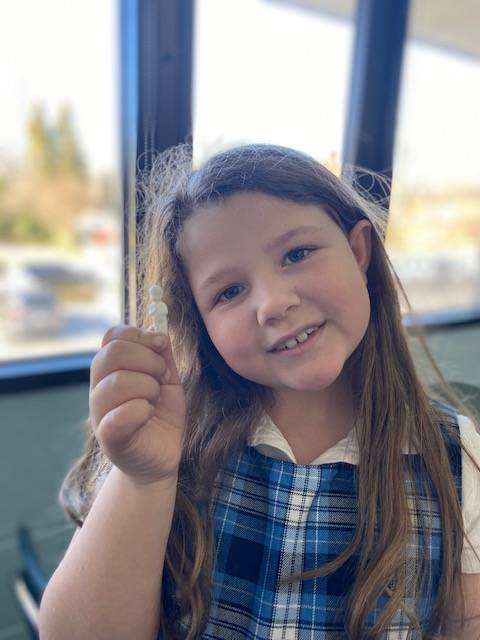 Three Kings cake celebration at Our Lady of Grace in Greensboro