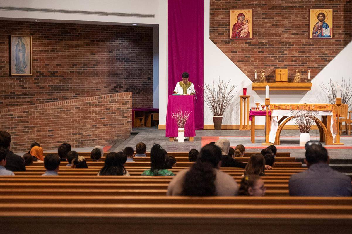 HAR_MASS-0015 (Copy)