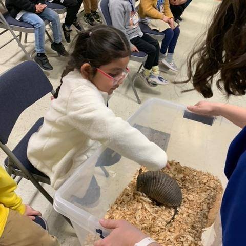 The children enjoyed a chance to pet some of the animals.
