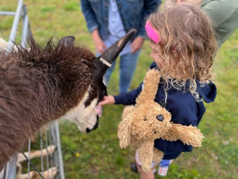 343650172_241658951747847_5731271537444623276_n