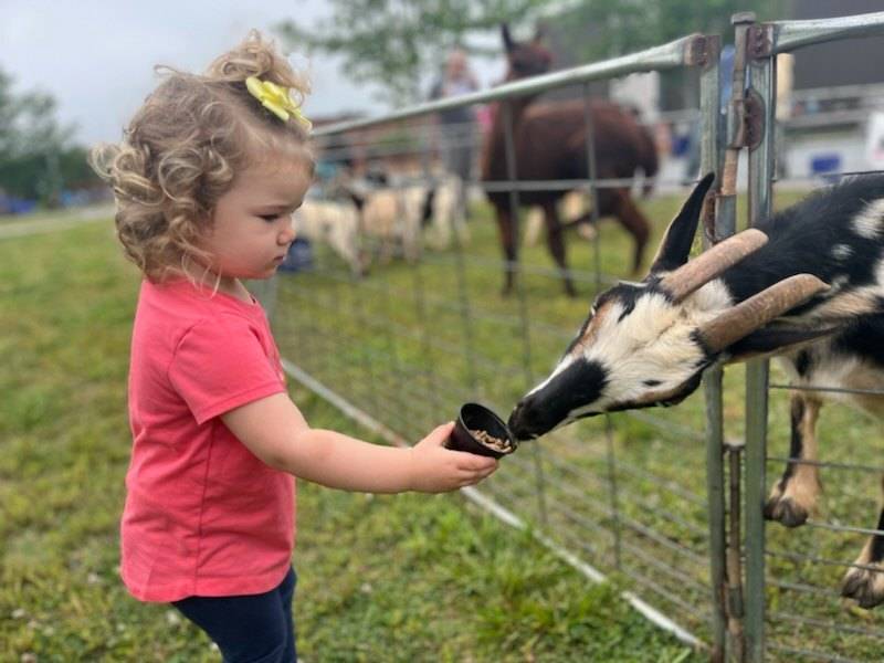 343700578_535066495501680_427210729680040055_n