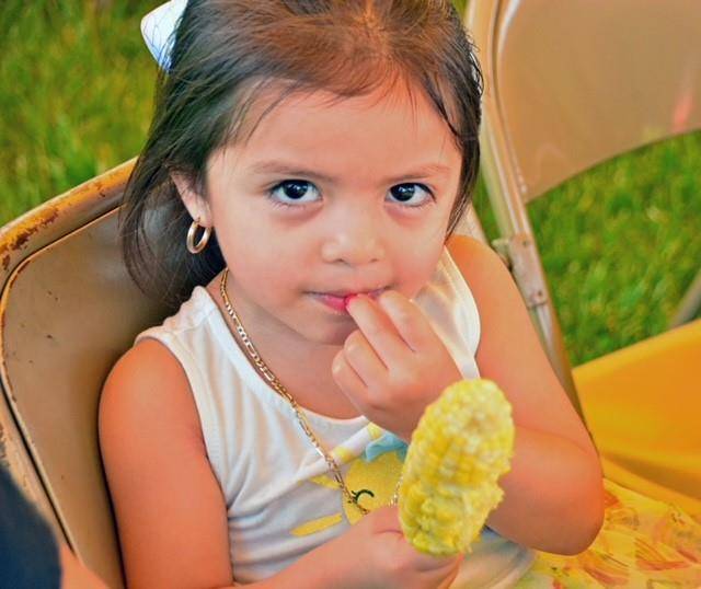 St Francis 13 (Copy)