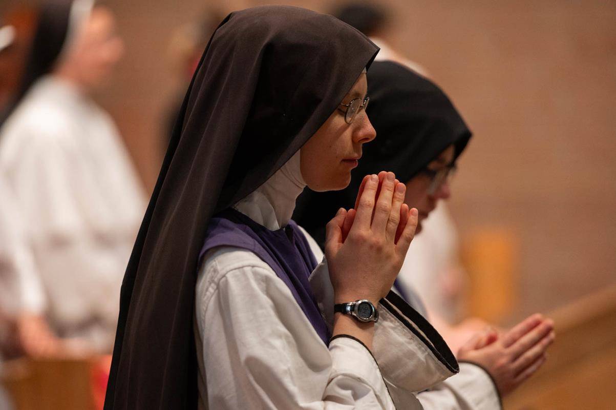 DUC_IN_ALT0266 (Copy)