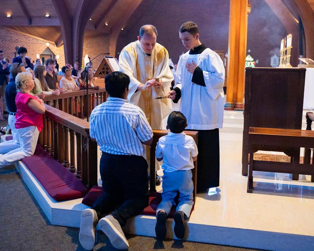 StTA_POLMass0073 (Copy)