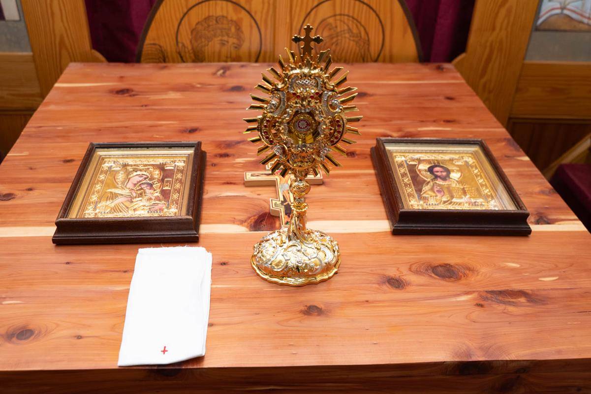 StTA_POLMass0136 (Copy)