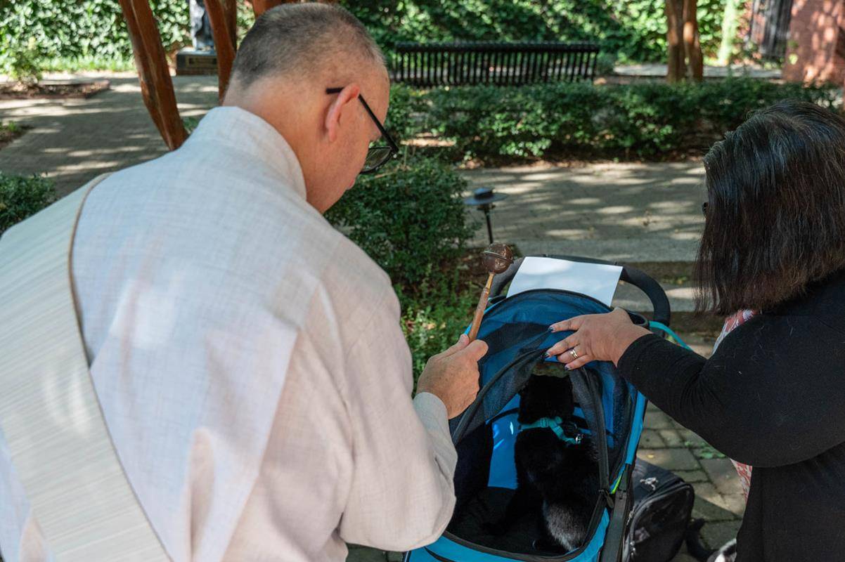 (Photos by Troy Hull)