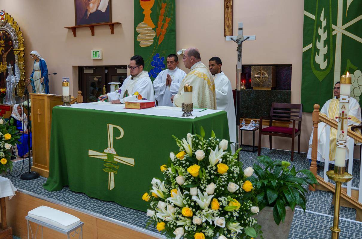 OLG Installation-4 (Copy)