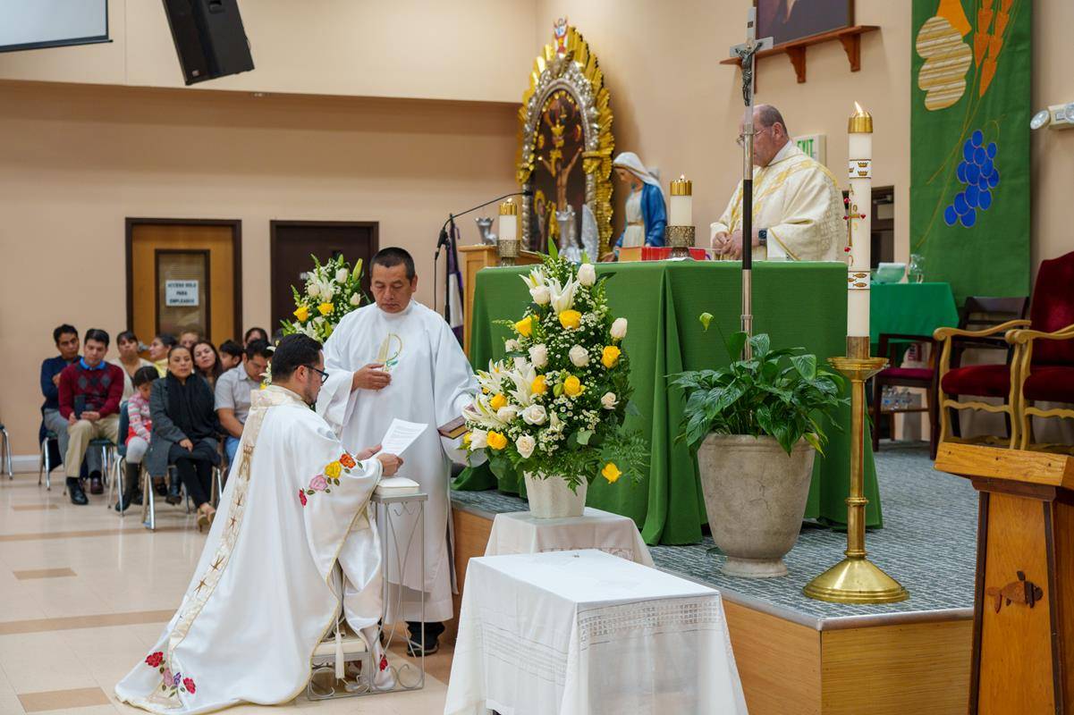 OLG Installation-5 (Copy)