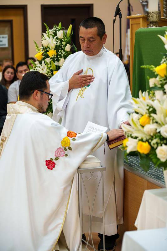 OLG Installation-6 (Copy)