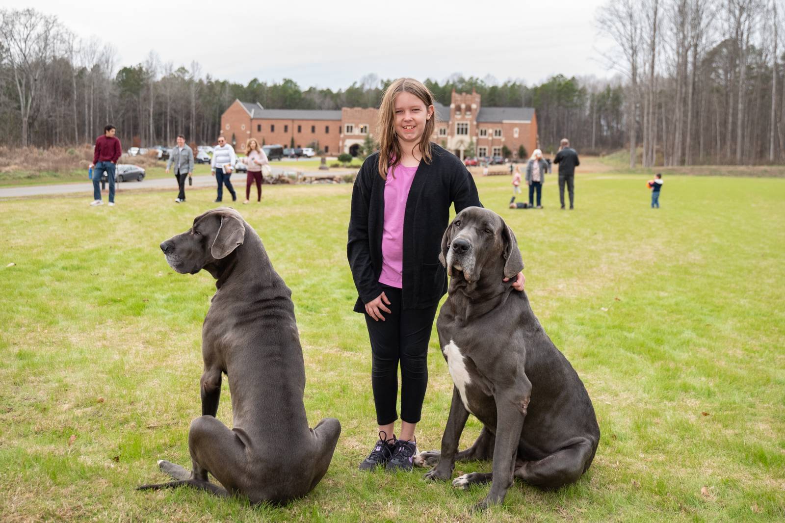 The seminary’s two beloved Great Danes, Bocca and Lupo, helped greet visitors.
