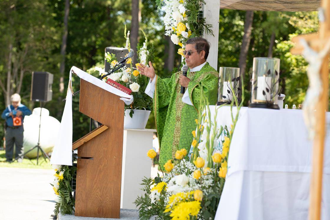 OLH_ANN0349 - Copy (Copy)