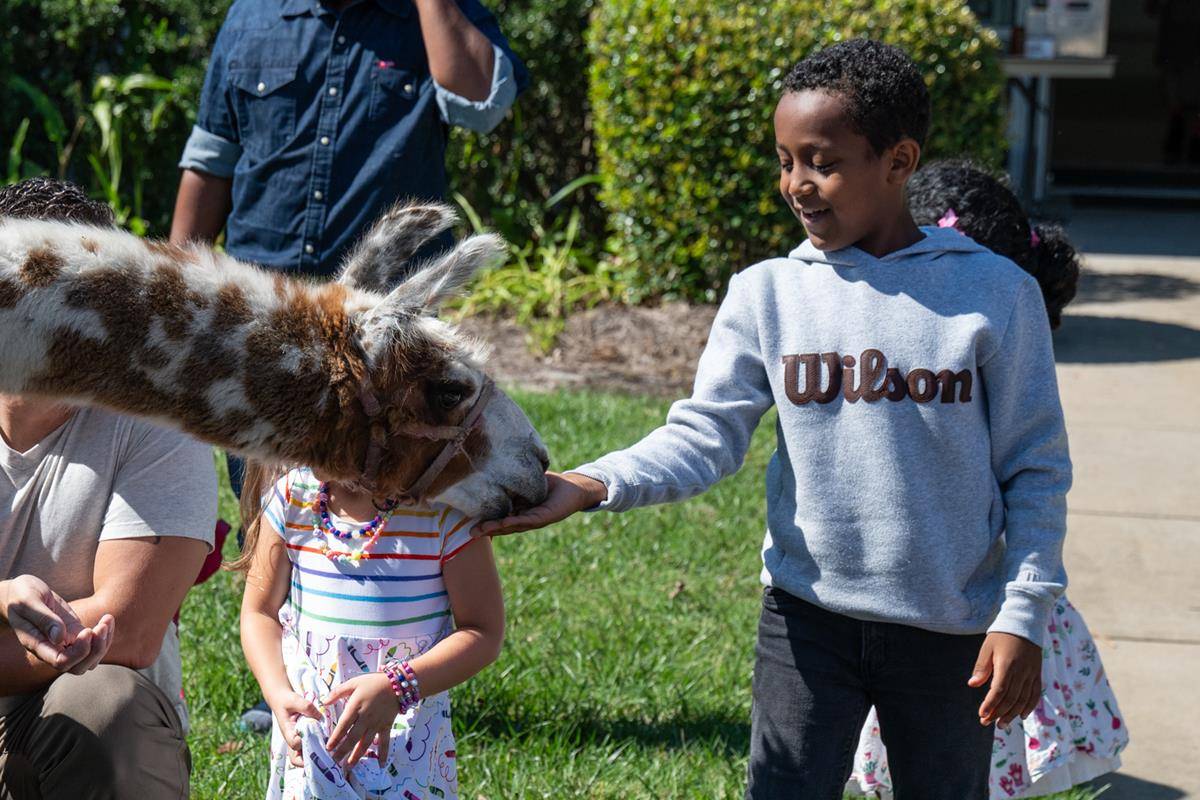 ST_MAT_ZOO0009 (Copy)