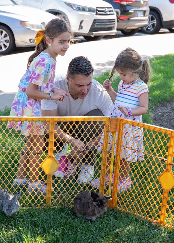 ST_MAT_ZOO0017 (Copy)