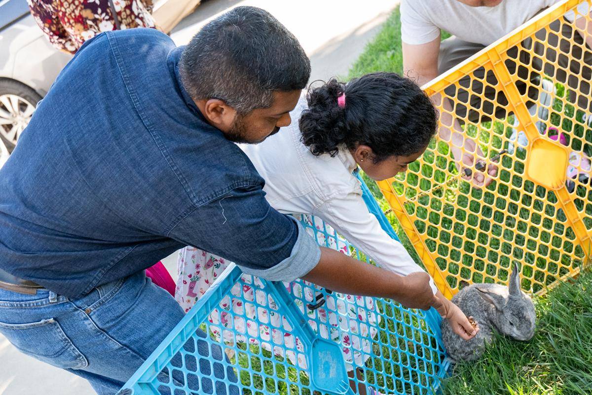 ST_MAT_ZOO0023 (Copy)