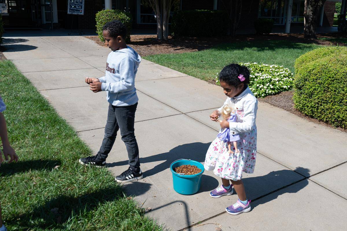 ST_MAT_ZOO0031 (Copy)