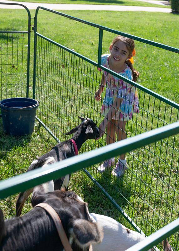 ST_MAT_ZOO0035 (Copy)