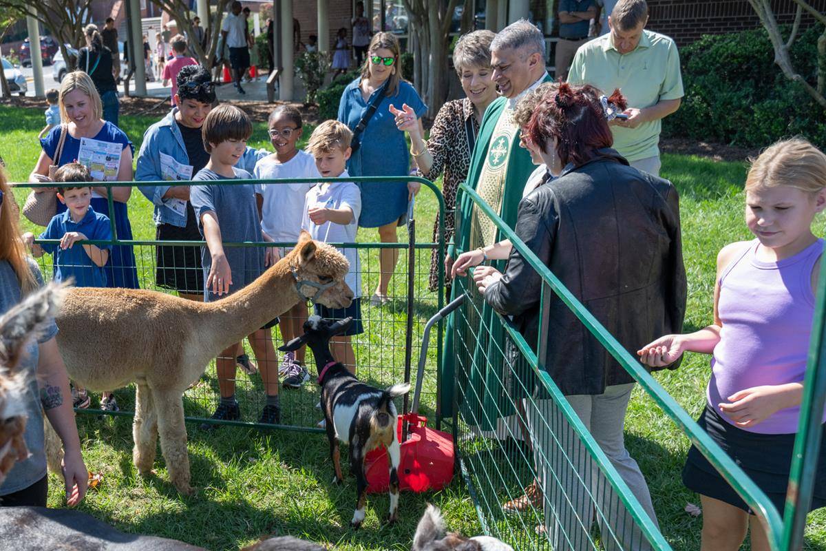 ST_MAT_ZOO0101 (Copy)