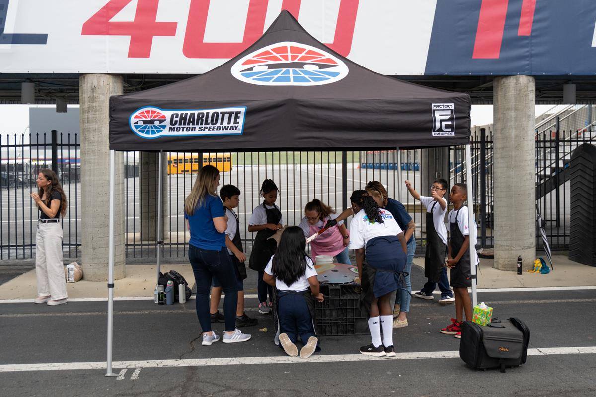 OLA_TURTLE0110 (Copy)