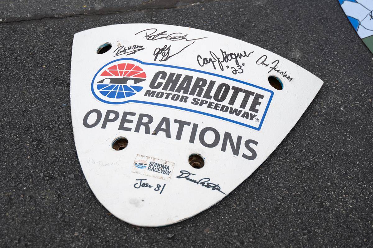 OLA_TURTLE0183 (Copy)