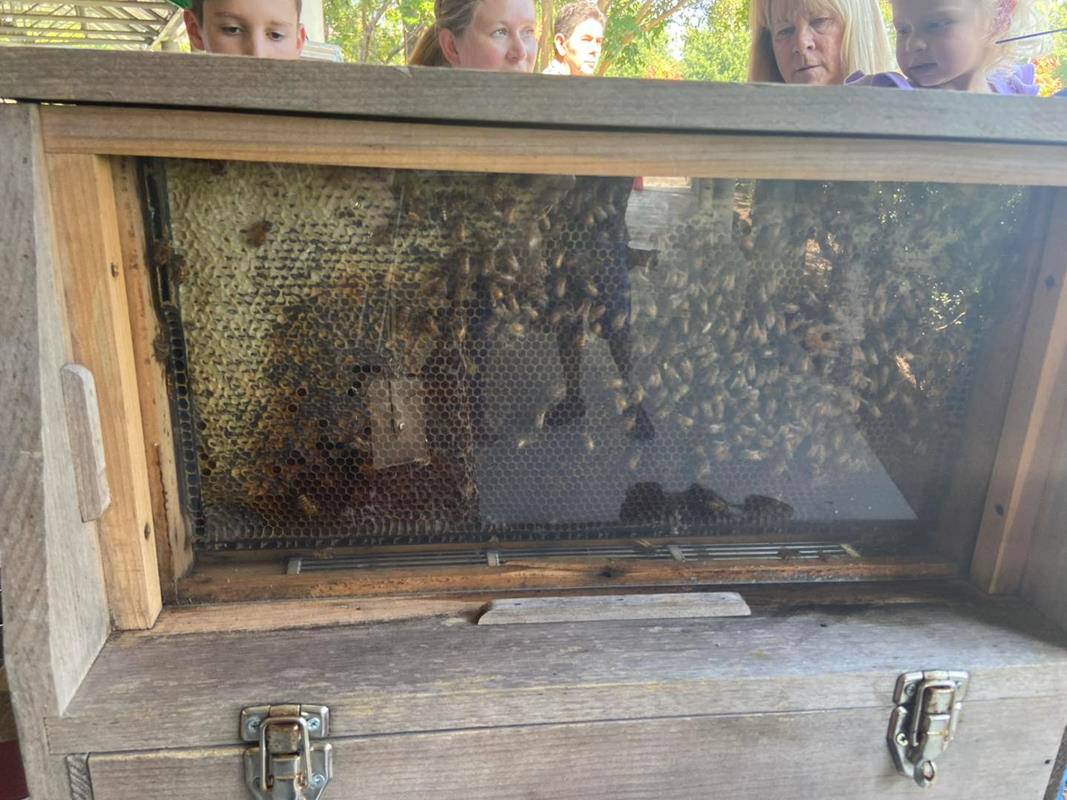 460965424_928945685944368_2411469358121997432_n (Copy)