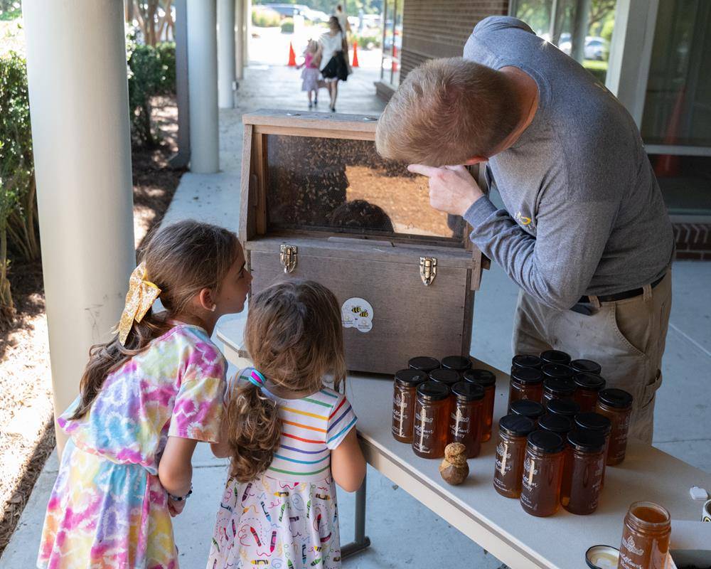 ST_MAT_BEE-0087 (Copy)