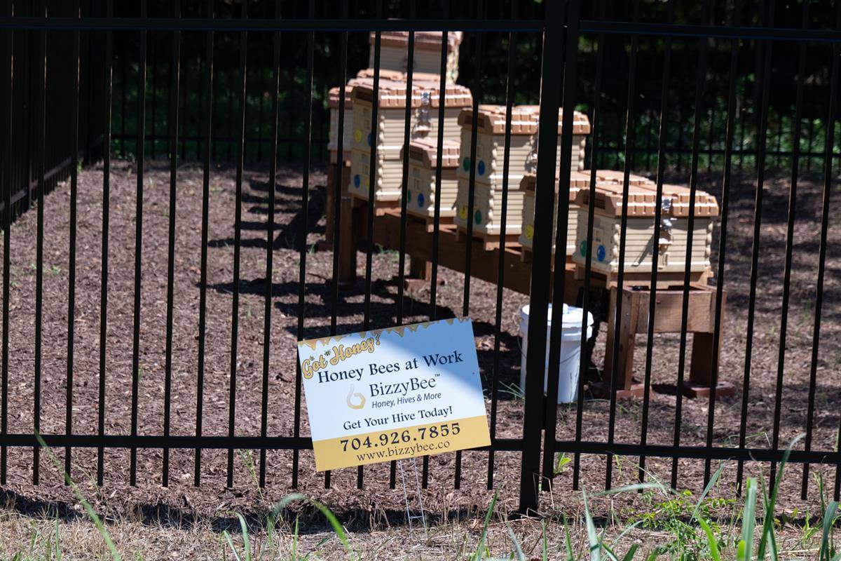 ST_MAT_BEE-0123 (Copy)