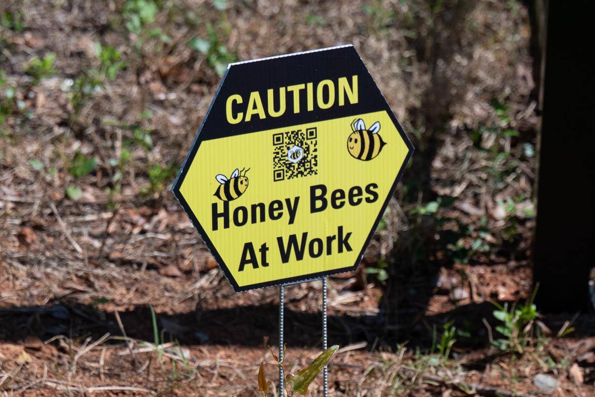 ST_MAT_BEE-0126 (Copy)