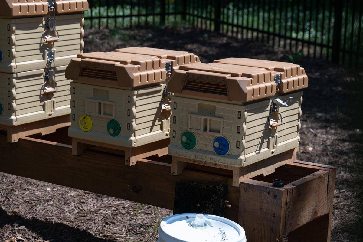 ST_MAT_BEE-0131 (Copy)