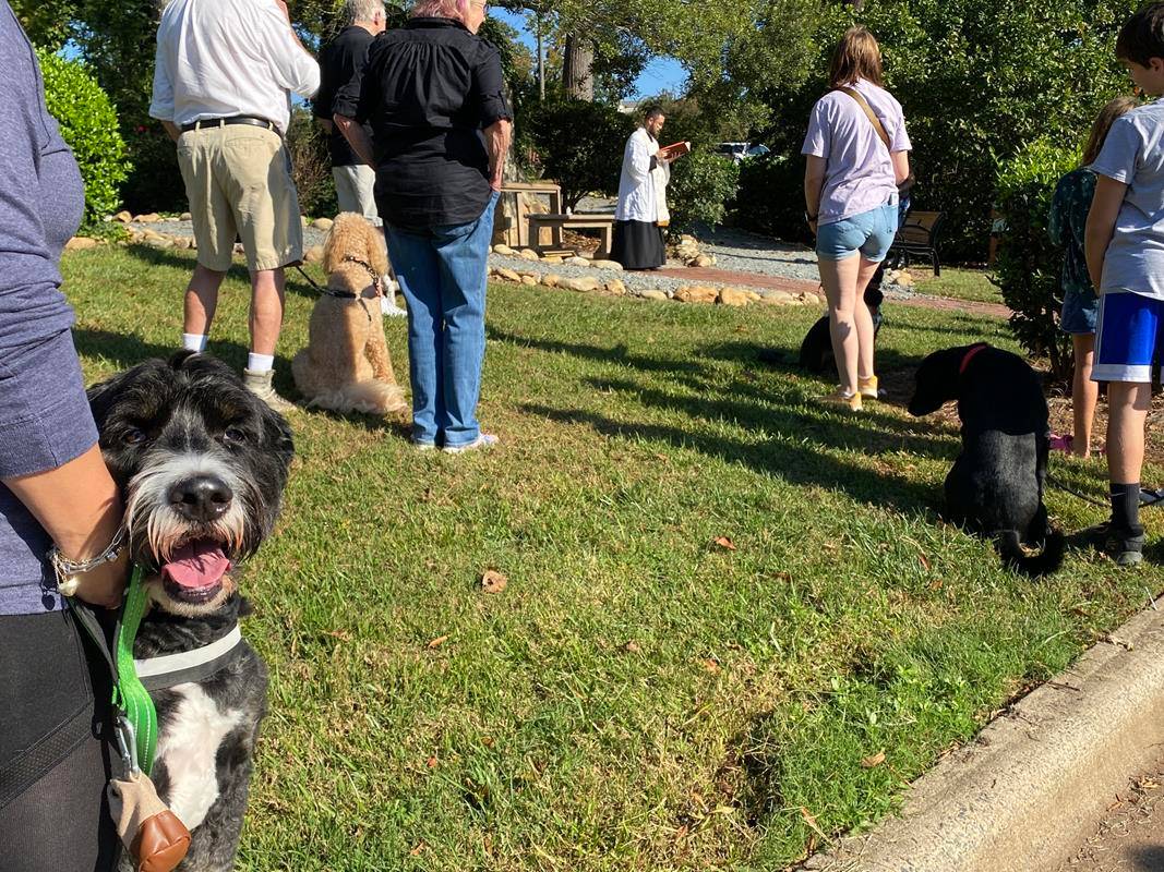 Father Kevin Tran blesses pets at St. Gabriel Church in Charlotte.