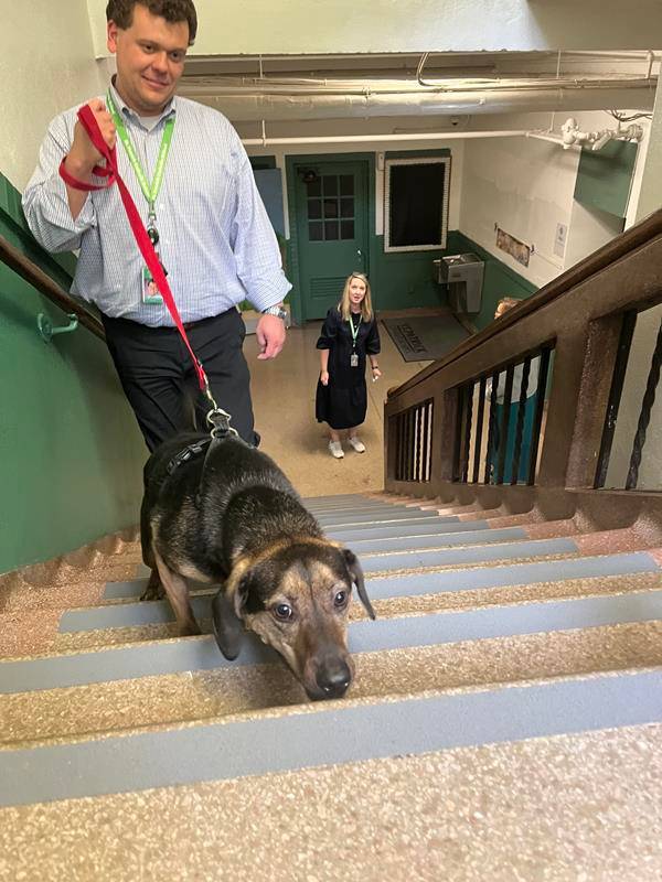 For the Feast of St. Francis of Assisi, St. Patrick School students and faculty welcomed a couple of four-legged special guests to their Charlotte school, Cassius and Fraiser.