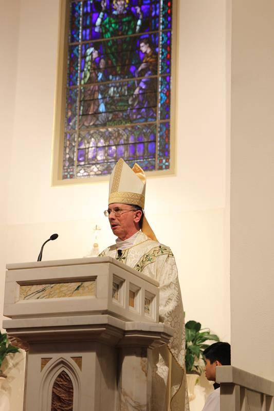 st paul cathedral st patricks day mass