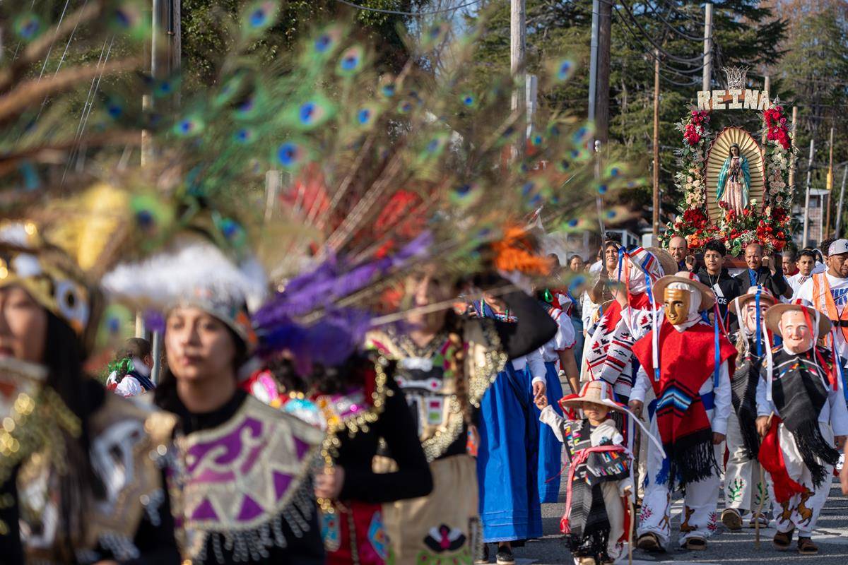 OLG Marion-25 (Copy)