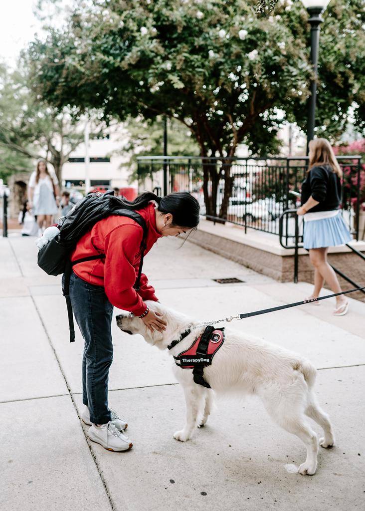 Students return to the school halls at Charlotte Catholic High School on the first day of school. 
