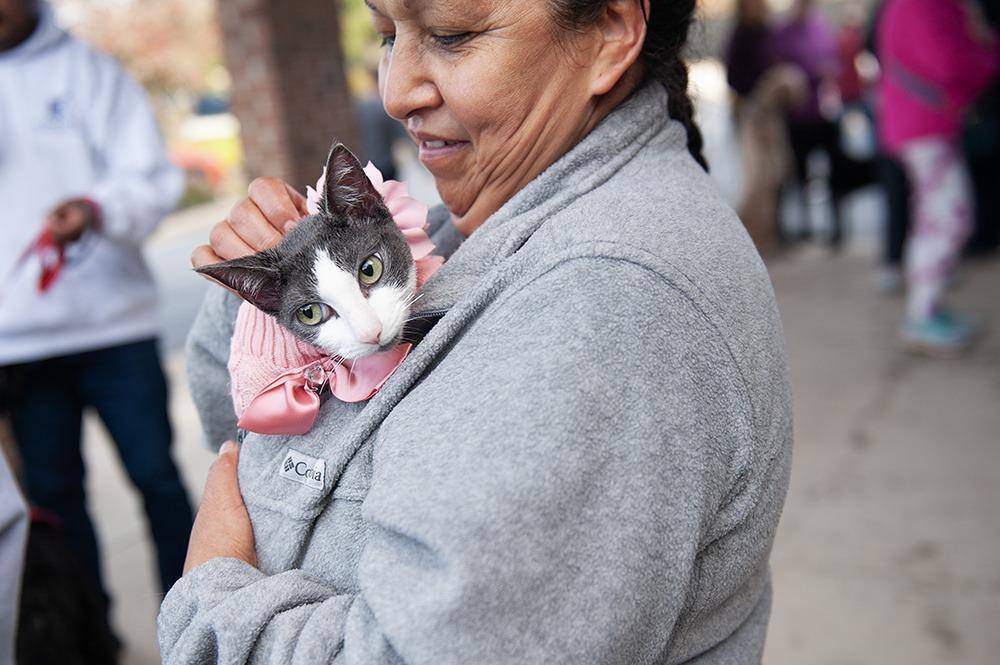 Pets gather at Immaculate Conception Church in Hendersonville for its first pet blessing since before COVID. 