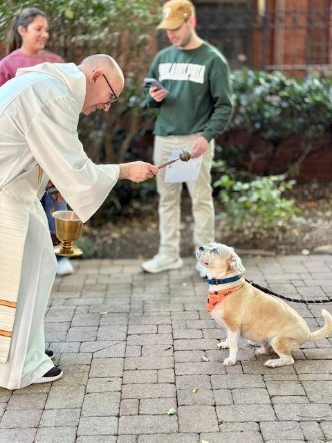 Animals were blessed at St. Peter Church in Charlotte. 