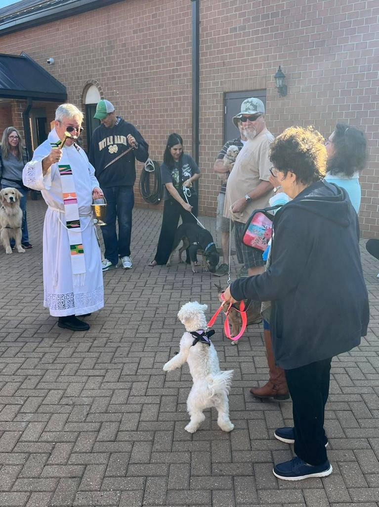 Father Mark Lawlor of St. Therese Church in Mooresville blessed all the animals, calling them Gods creation and our friends.  We love all our friends, large and small.