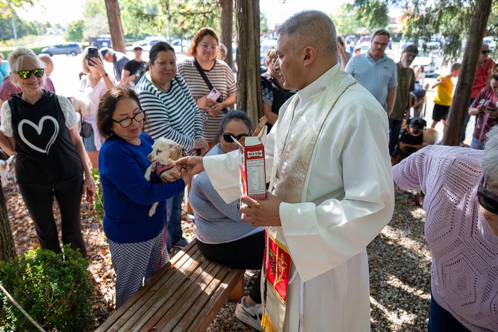 Father Patrick Cahill and Father Binoy Davis blessed cats, dogs, birds and even some reptile friends for the Feast of St. Francis of Assisi at St. Matthew Church in Charlotte. 
