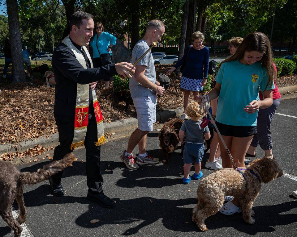 Father Patrick Cahill and Father Binoy Davis blessed cats, dogs, birds and even some reptile friends for the Feast of St. Francis of Assisi at St. Matthew Church in Charlotte. 
